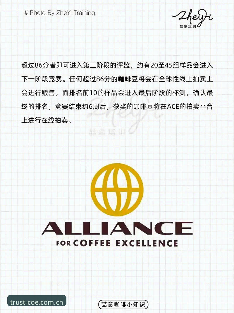 保障账户安全的5个关键步骤：COE平台安全性攻略